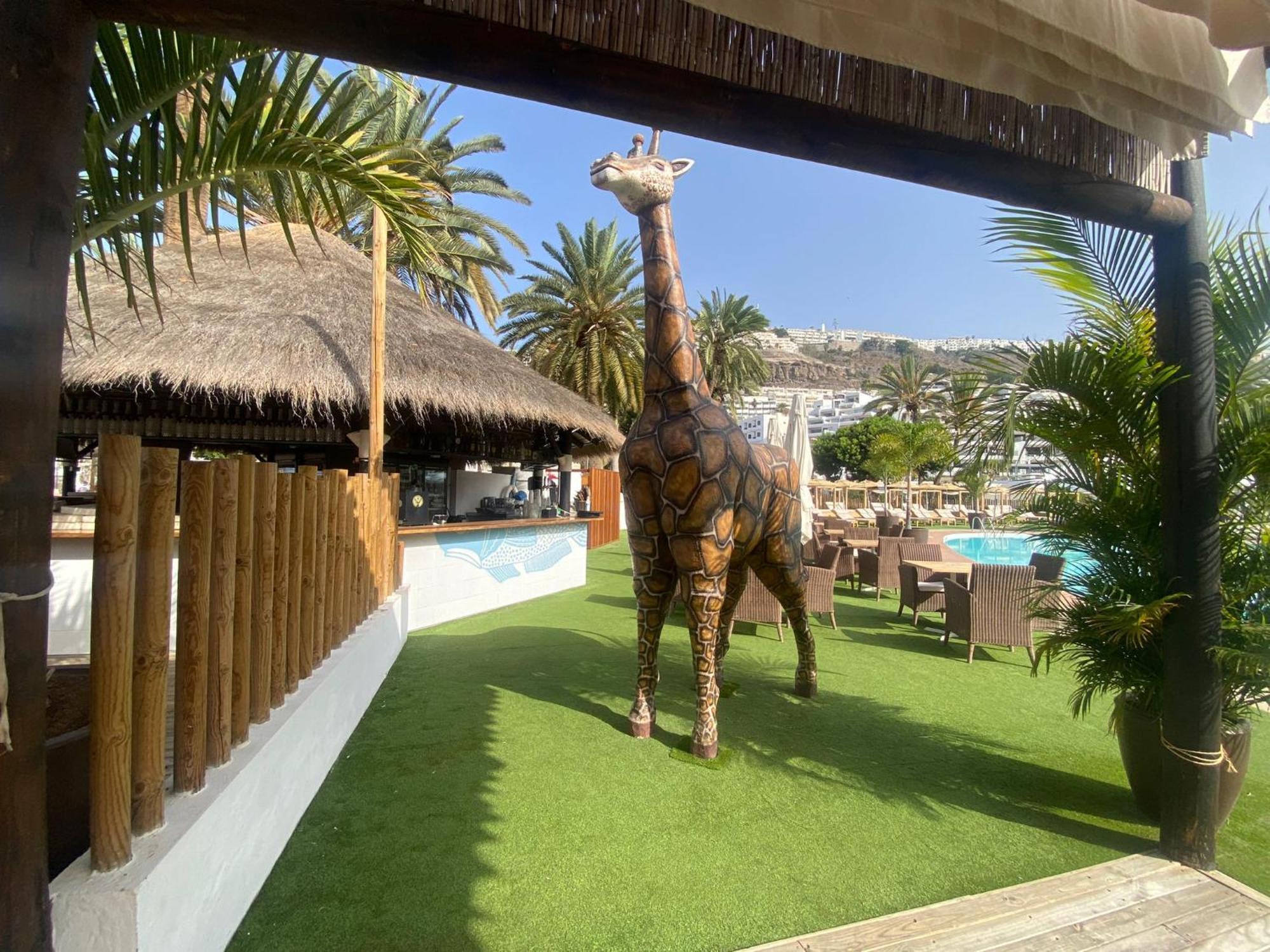 Cozy Modern House, In A Complex With A Swimming Pool Διαμέρισμα Πουέρτο Ρίκο Εξωτερικό φωτογραφία